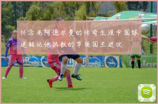 怀念老阿德尔曼的传奇生涯中国球迷铭记他执教的华丽国王进攻